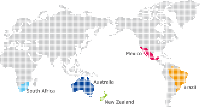 オーストラリア、ニュージーランド、ブラジル、メキシコ、南アフリカの5ヵ国のソブリン債券に投資します。