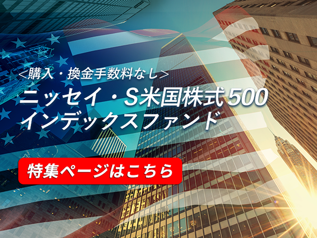 ニッセイ・Ｓ米国株式500イメージ