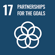 17. PARTNERSHIPS FOR THE GOALS